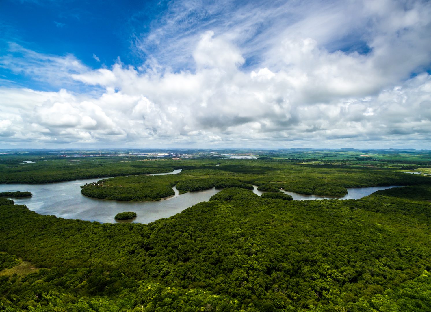 Amazon rainforest in Brazil, South America