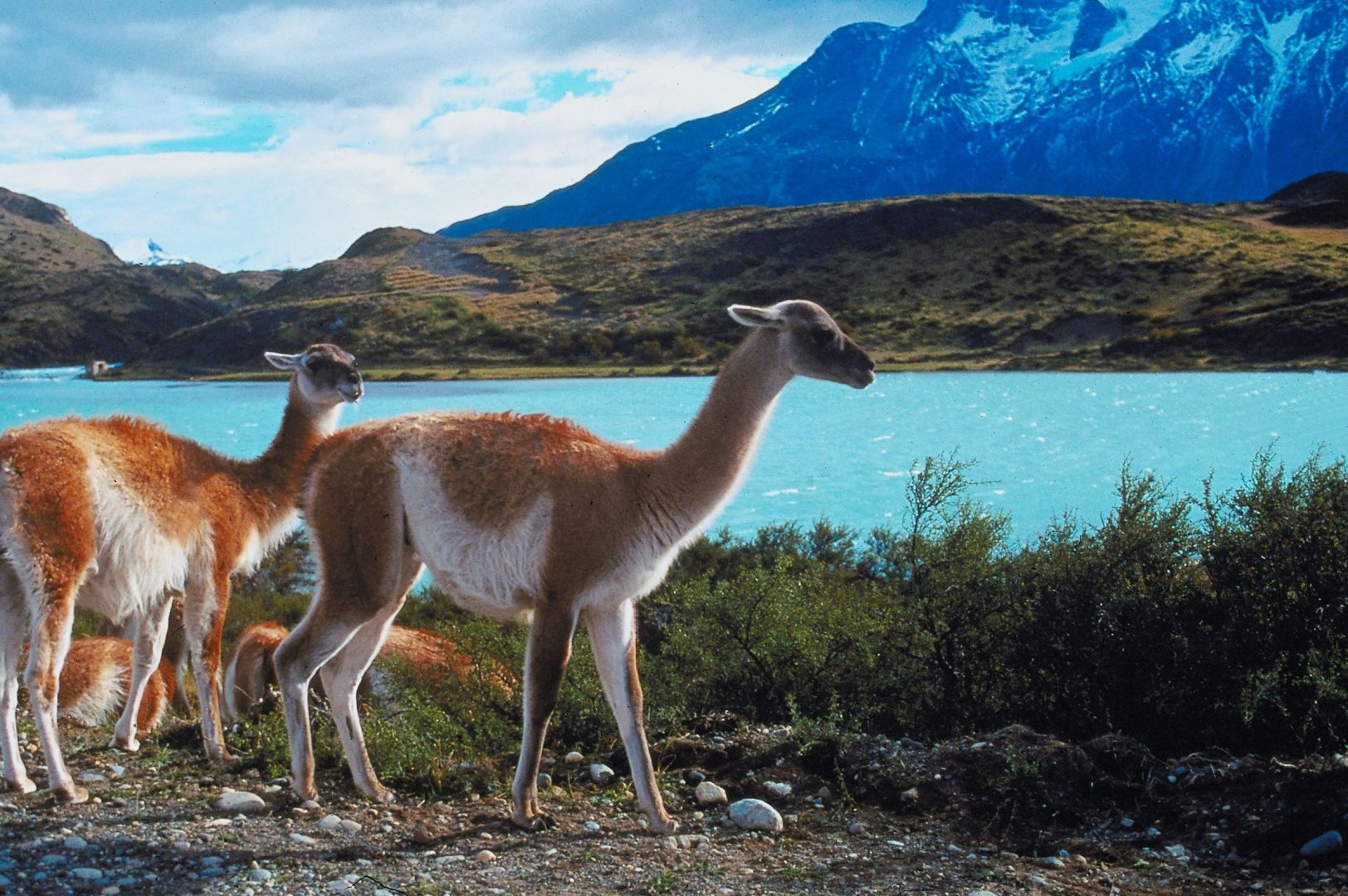 Peruvian Andes.