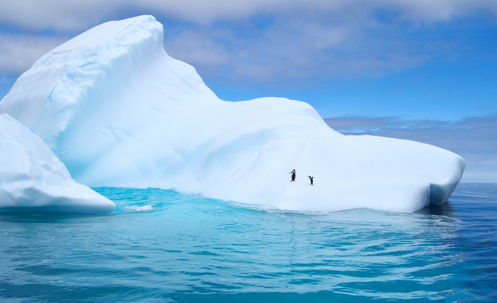 travel to antarctica