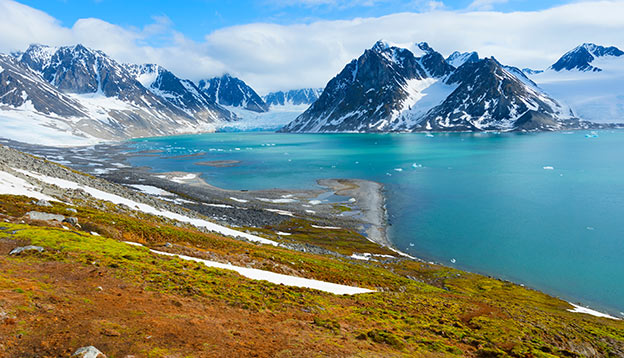 Arctic landscapes - Fjord in Norway