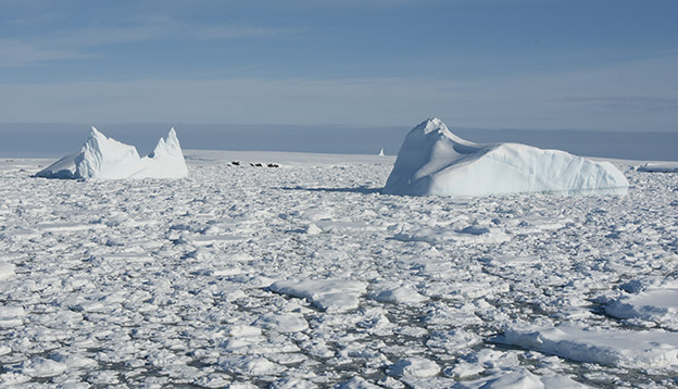 Icebergs in the Southern Ocean.