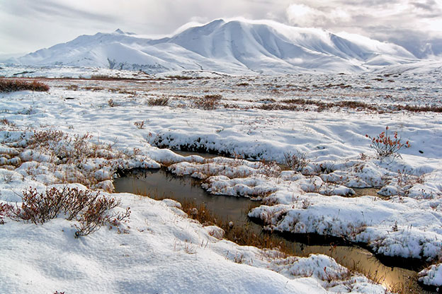 The tundra in Alaska