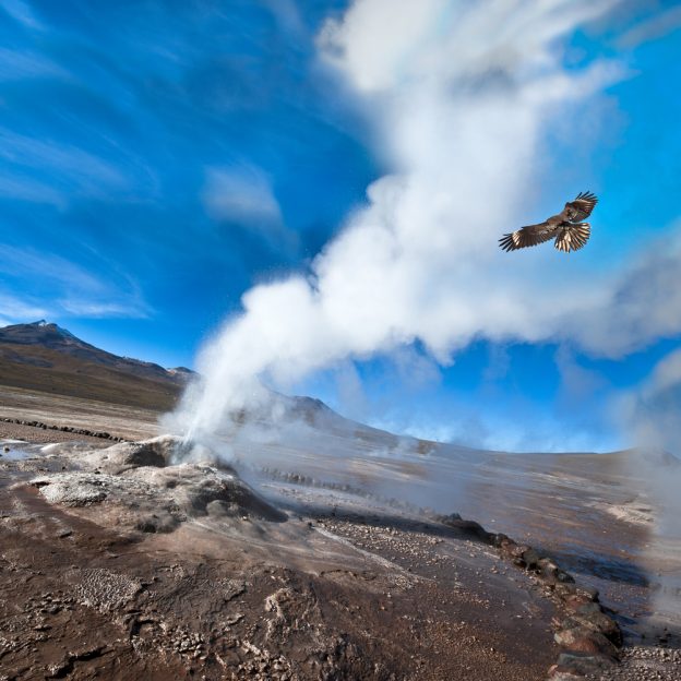 Condor flying over geiser in desert with blue sky