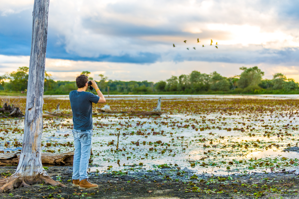 Tourists in the Pantanal. 