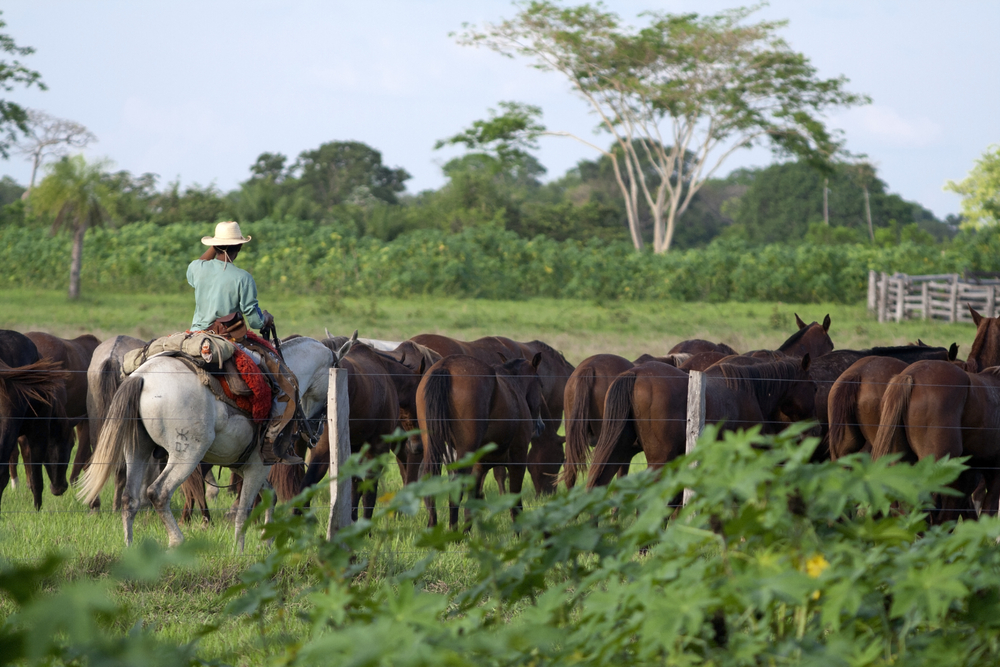 Gauchos in Brazil.