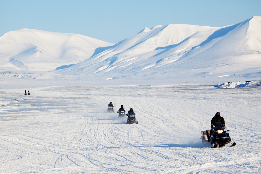 Svalbard snow