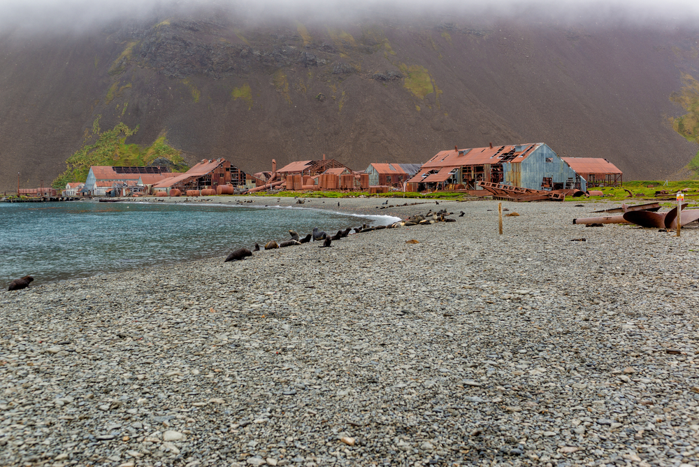 Abandoned whaling station on South Georgia.