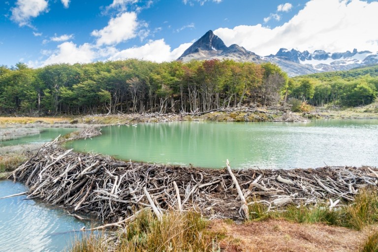 Tierra Del Fuego near Ushuaia in Argentina