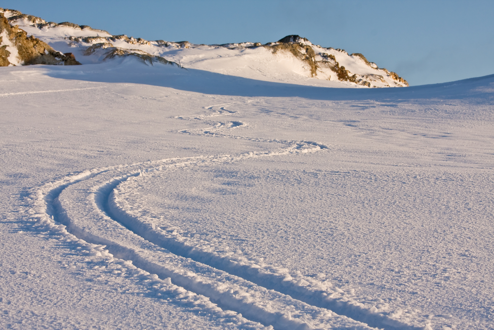 An Adelie penguin on King George Island, Antarctica