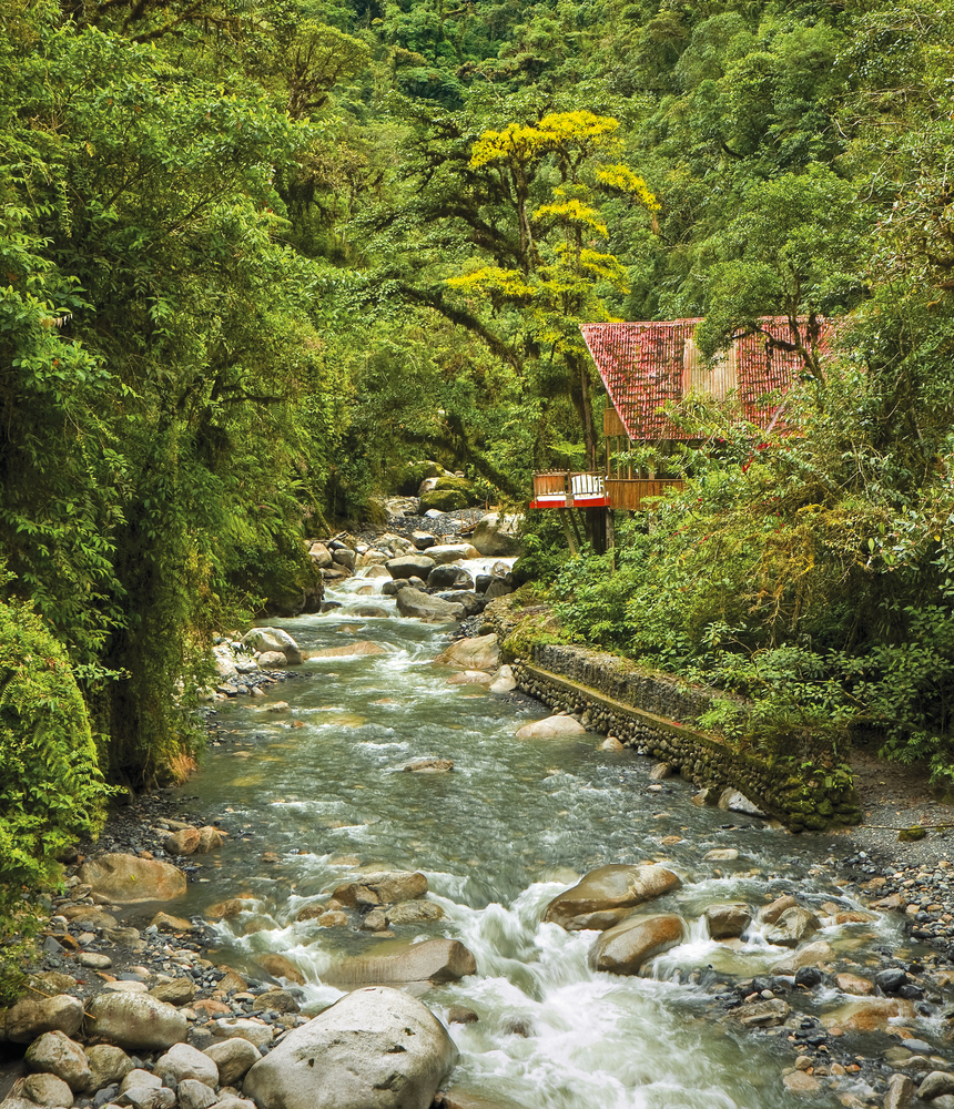 Tambopata National Reserve.