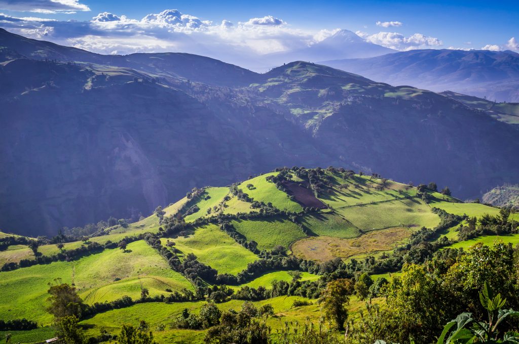 Green Andean landscape in afternoon light near El Altar volcano in Riobamba region, Ecuador