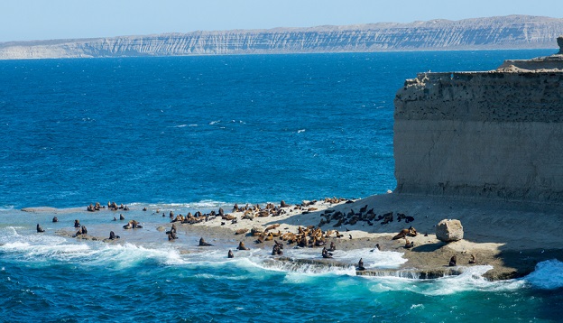 Rocky beach of peninsula of Valdes, Patagonia, Argentina.