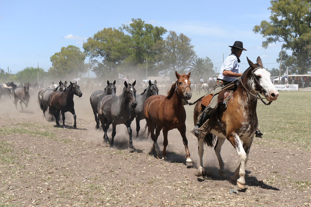 The Gauchos in Argentina. 