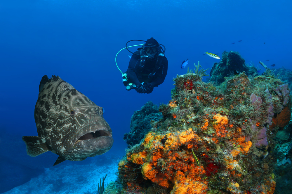 Scuba diving at Comuzel, Mexico