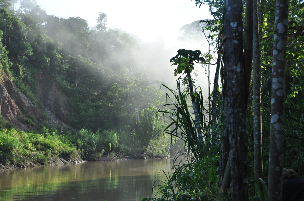 Geography of the Peruvian rainforest