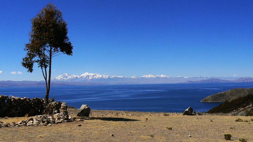 view over sea from rock plateau with tree