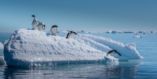 Immersive Antarctica - Day 7 to 9