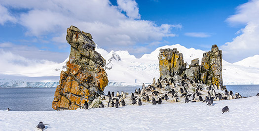 South Shetland Islands