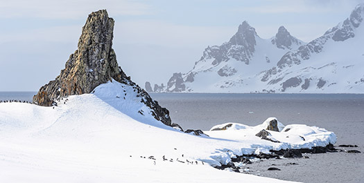 South Shetlands