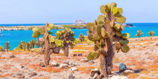 Santa Fe and Santa Cruz Islands