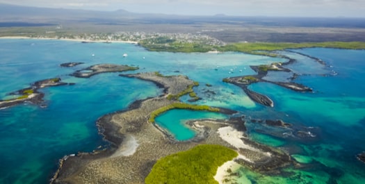 Tintoreras Islet & Wetlands