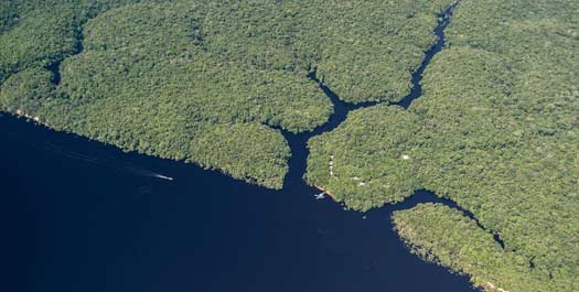 Departure from Anavilhanas - Manaus