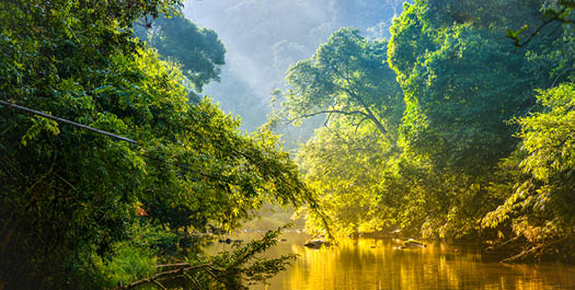 Juma Amazon Lodge - Excursion