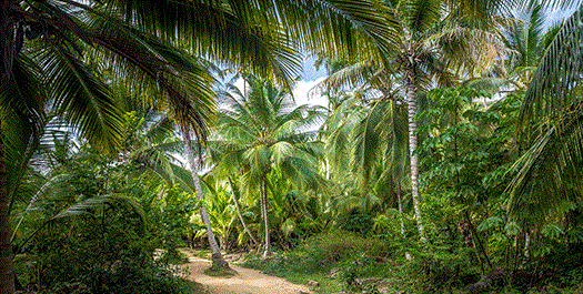 Tayrona National Park