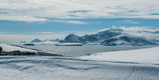 Lagoon and Mikkelsen Islands