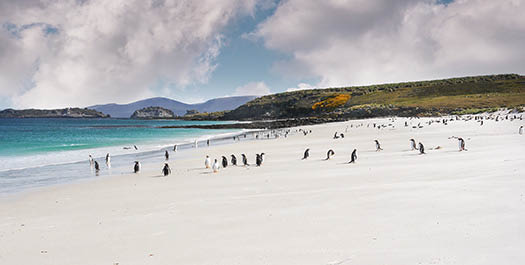 Falkland Islands