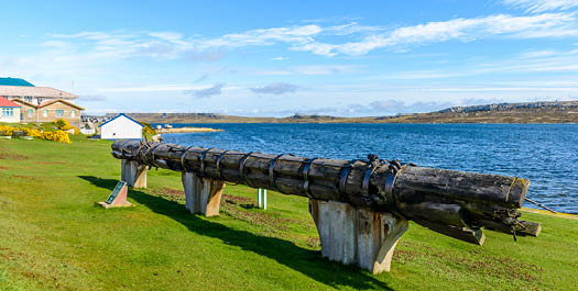 The Falkland Islands