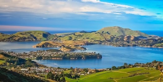 Arrival in Dunedin