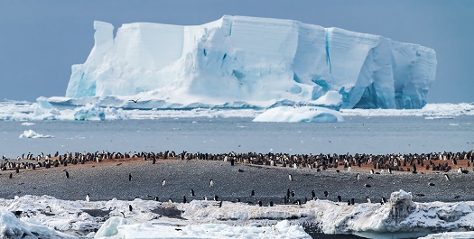 Ross Sea - Day 13 to 18