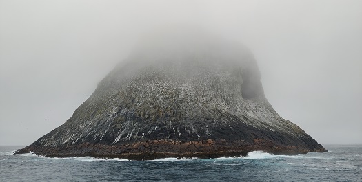 New-Zealand's Subantarctic Islands - Day 4 to 6