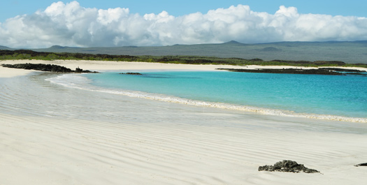 Cerro Brujo & Punta Pitt