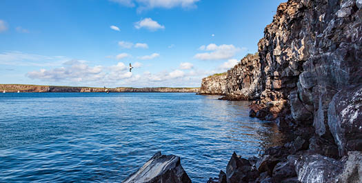 Darwin Bay and Barranco