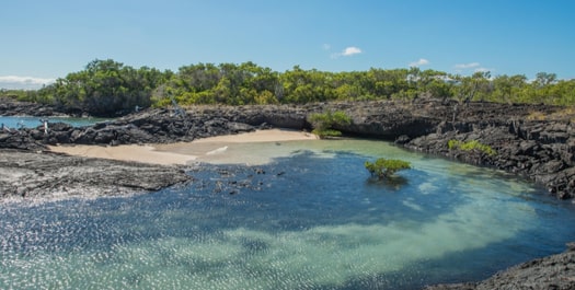 Punta Moreno & Elizabeth bay