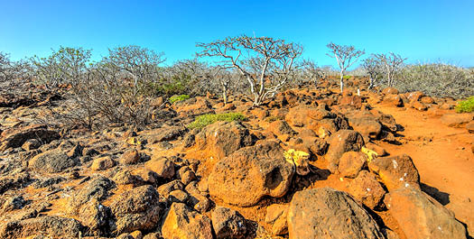 North Seymour & Mosquera Islet