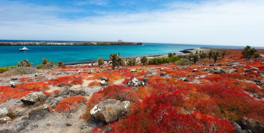 Arrival in Galapagos and South Plazas