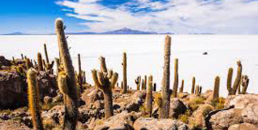 Uyuni Salt Flats