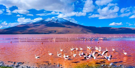 Bolivian Altiplano to Uyuni Salt Flats