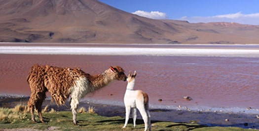 Huacalera to Uyuni Salt Flats