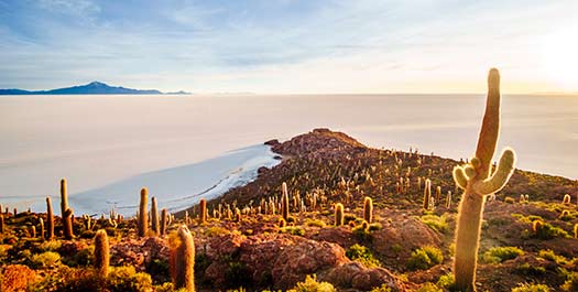 Uyuni Salt Flats