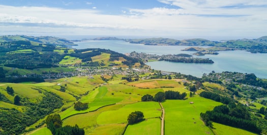 Disembark in Dunedin