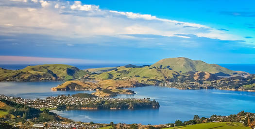 Dunedin & Disembarkation