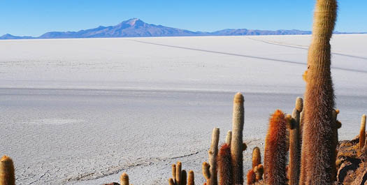 Toconao & Salar de Atacama tour