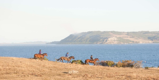 Activities in Chiloe Island