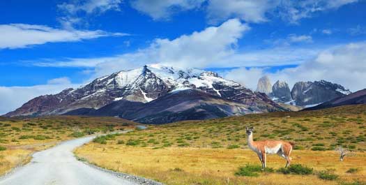 Torres del Paine to El Calafate