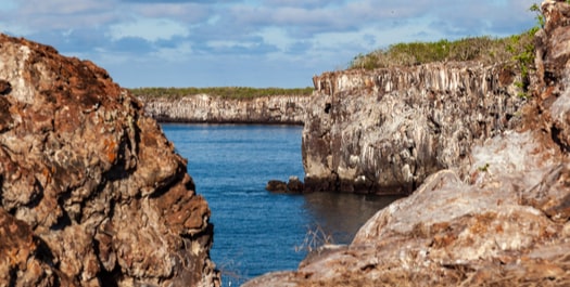 El Barranco & Darwin Bay