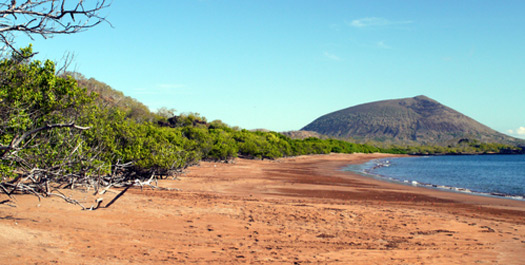 Santiago Island: Espumilla Beach & Puerto Egas